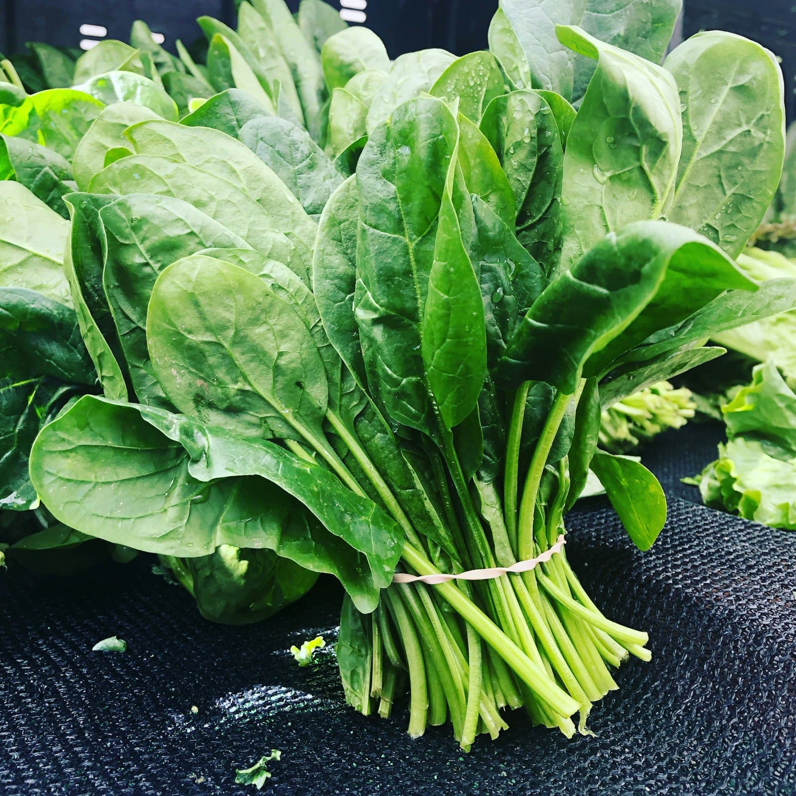 A bunch of fresh spinach, the food-first magnesium source